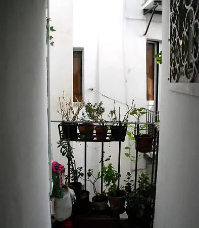 Apartment Casa Cappelli